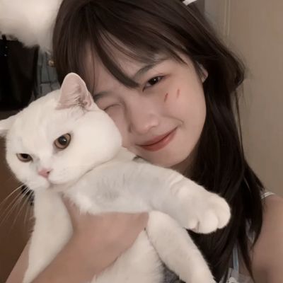 BOB博鱼·体育官网入口