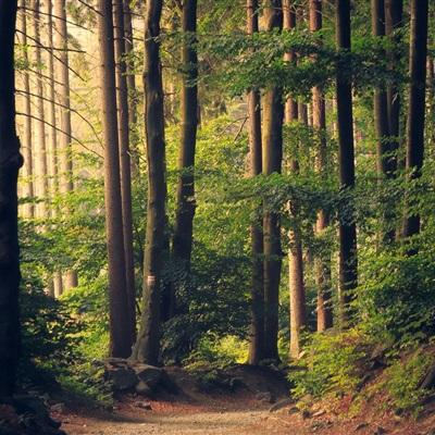 beat365手机版官方网站