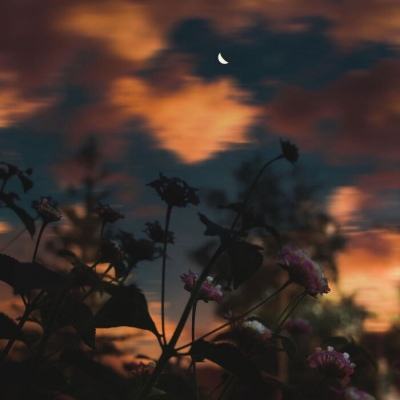 米乐网app下载截图