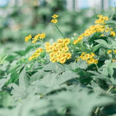 华体会登录手机版截图